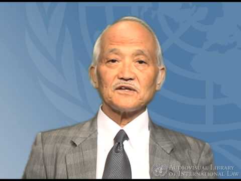 Nisuke Ando on Japan and International Law