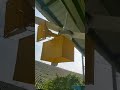 thunderbolt siren 1000t on a ceiling fan (fanbolt) test