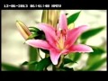 Otran Oil Song 30s Dec 13