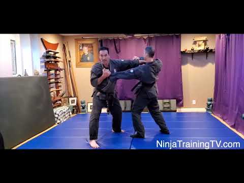 Danshi (Projectile Finger), Gyokko Ryu Koshijutsu