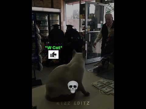 When Cats Protect Humans 💀