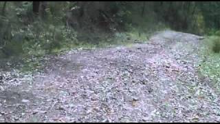 Goin Down - Jimmy Dawkins