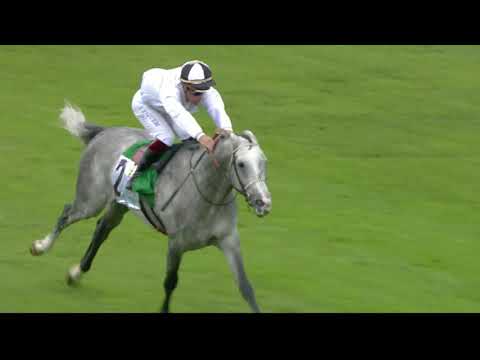 H.H. Sheikh Zayed Bin Sultan Al Nahyan Cup (Group 1PA)