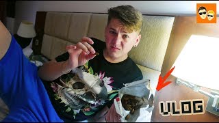 VLOG ● ШОК! ФИКУС ПРОБУЕТ ЛИЧИНКИ ГУСЕНИЦЫ