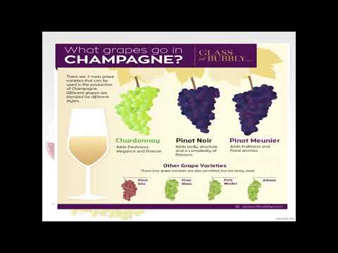 Melhor Sommelier do Vietnã em 2020: Seminário de Champanhe