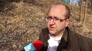 Горските в Смолян изброиха 46 хиляди кубика паднала дървесина в Смолян