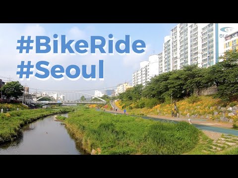Bike ride in Seoul on a sunny day