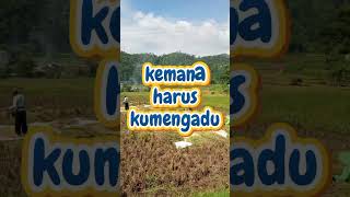 Download lagu Ella- Tiada tangis lagi mp3