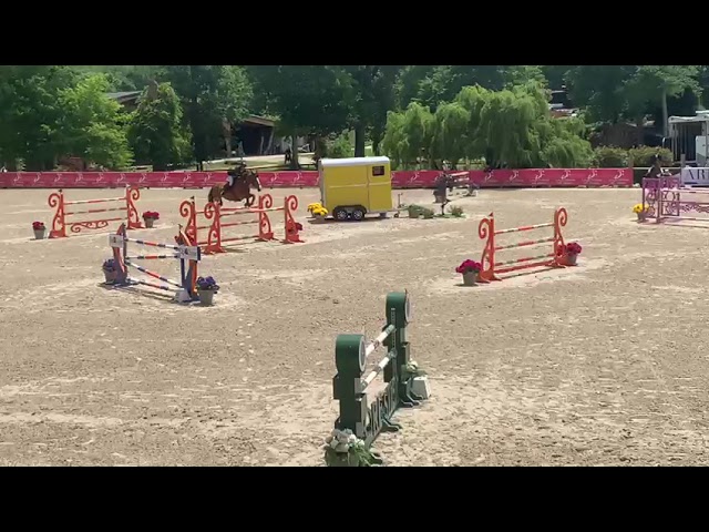 Tr&egrave;s bonne jument de concours 125-135