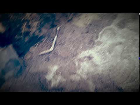 26.5.2016 Viemärin liitos.