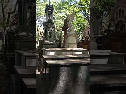 cemitério da Consolação em são Paulo túmulo do escritor monteiro Lobato seguem nós família