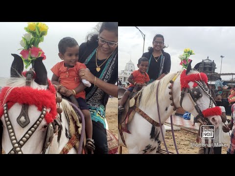 Horse Riding | Horse Riding in kanyakumari | Beach horse ride