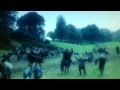 Vikings Soundtrack - If I had a heart - Fever Ray ...
