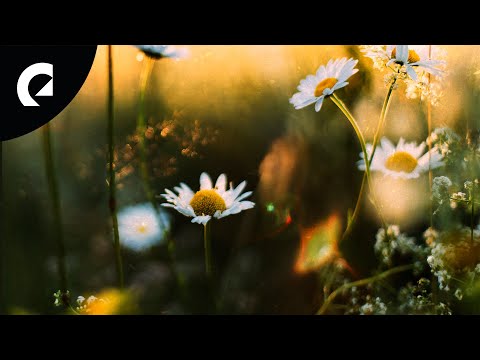 Ludvig Moulin - Joyful Occasions