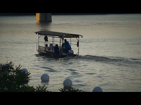 Kárpát-medence - Tiszavirág fesztivál Zentán 2025.06.29.