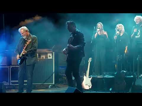 Sorrow....Pink-project The Band....