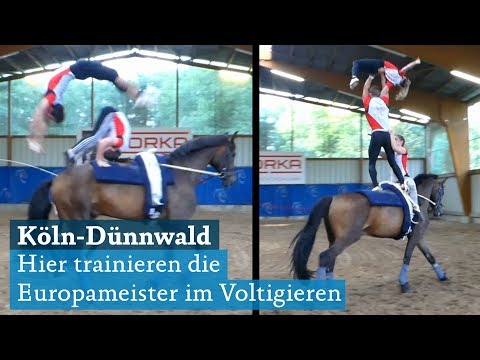 Voltigierverein Köln-Dünnwald: Europameister im Voltigieren - Team Norka