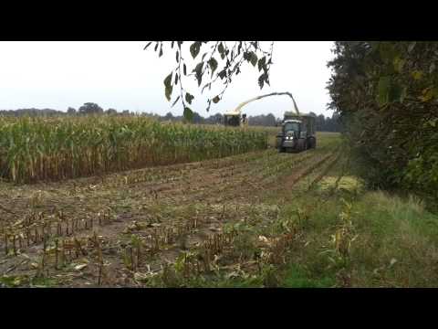 Lohnunternehmen Henke am Mais häckseln 2013