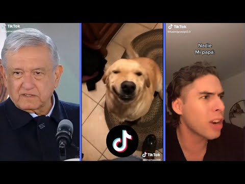 LOS MEJORES VÍDEOS DIVERTIDOS Y GRACIOSOS DE TIK TOK 2022 - videos de risa 2022