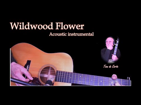 Toon de Corte - Playing Wildwood flower (Clarence White style)