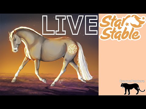 🔴ZAPIS LIVE🔴 Dzień 13.09.2020