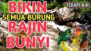 Download lagu SANGAT AMPUH‼️ Suara Gemercik Air Alami - Terapi Burung Macet Jadi Rajin Bunyi dan Makin Gacor mp3 Download lagu SANGAT AMPUH‼️ Suara Gemercik Air Alami - Terapi Burung Macet Jadi Rajin Bunyi dan Makin Gacor mp3