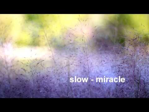 slow - miracle