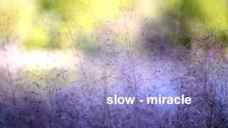 slow - miracle