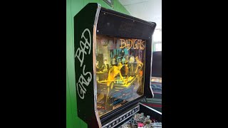 We find  a 1988 Gottlieb BAD GIRLS Pinball Machine!