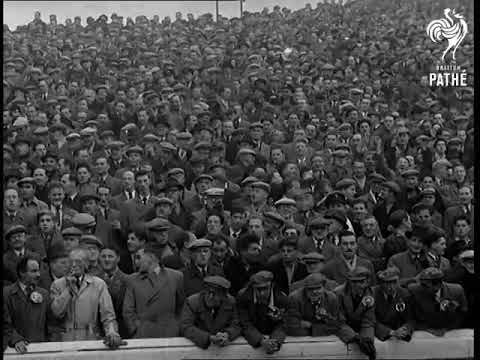 Scotland 2 - 2 Northern Ireland (03 November 1954)