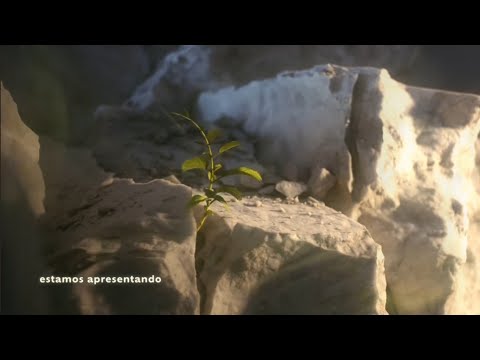 Três Graças | Vinhetas de intervalo | Oficial