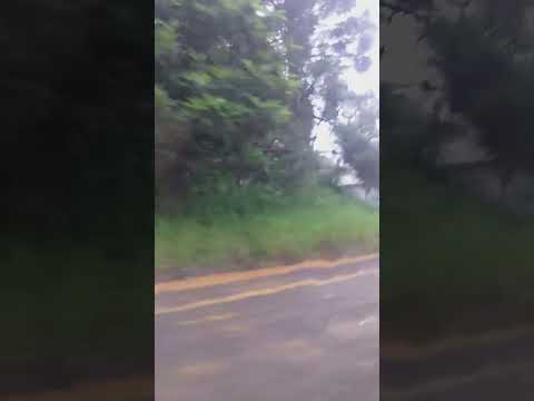 Chuvas fortes em Santa Catarina Frei Rogério
