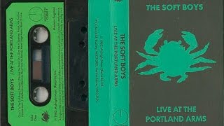 ~The Soft Boys ~ Live at the Portland Arms (full album)