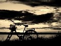 NORAH JONES  more than this