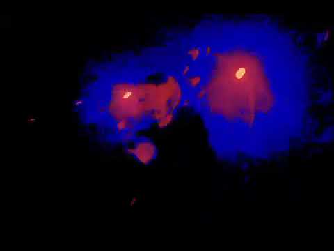 Drabusheyka x 204atum AVAST *LEAK* VIDEO