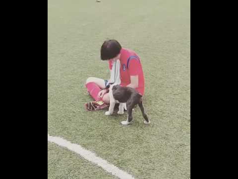 160613 JJCC - 더블제이씨 Update