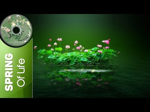 Eric Chiryoku - Lotus Flower || Spring Of Life