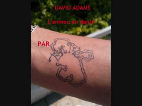 David Adams - Lanmou an danjé