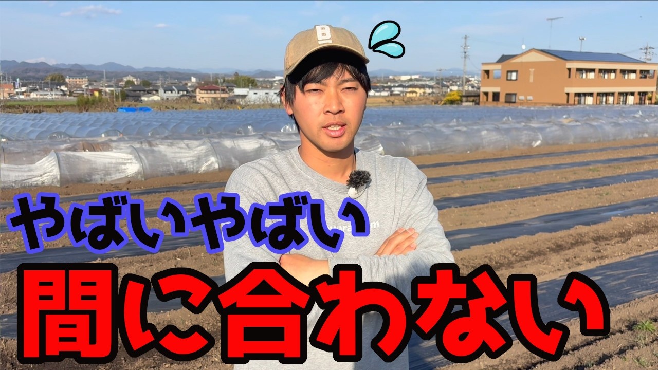今年は間に合わないかもしれない...