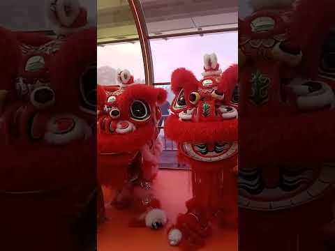 colorful #shortvideo #shortvideo #chinese #shortvideo #subcribe