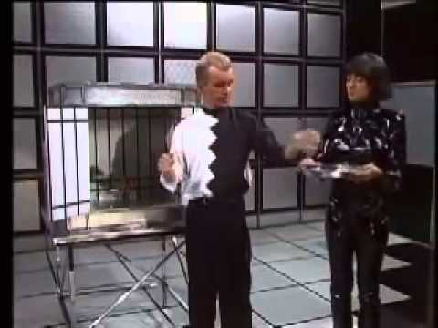 Wayne Dobson - Passage of time