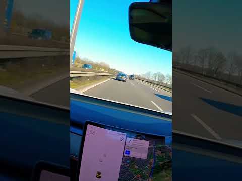 Tesla Model 3 standard vs Audi A5