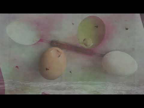 Wolfgang Tillmans - Life Guarding