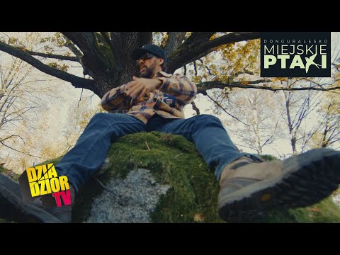 donGURALesko - Co Mówi Kamień (prod. Look.out) [MIEJSKIE PTAKI]