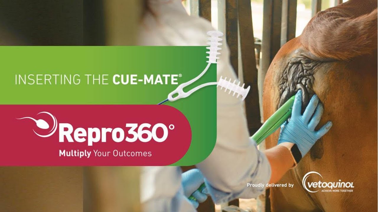 Inserting Cue-Mate® Progesterone Devices