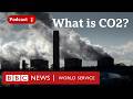 How Does Carbon Dioxide Shape Our World The Climate Question Podcast BBC World Service