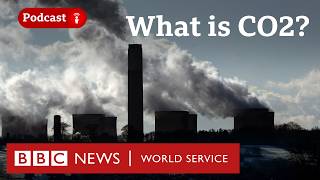 How does carbon dioxide shape our world? - The Climate Question podcast, BBC World Service