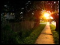 Sophia - Obvious 