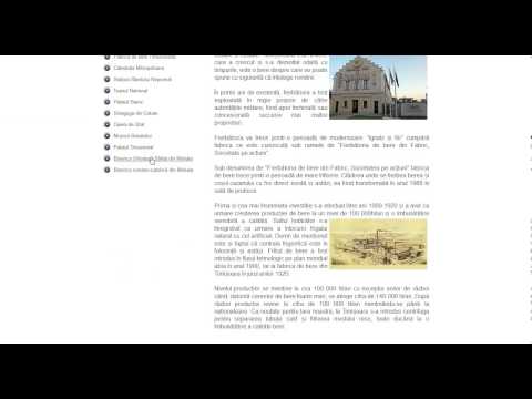 Atestat Informatica - Timisoara