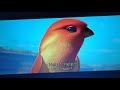 A Bug S Life 1998 Bird Chase Scene